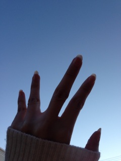 ♡(*�L�ށM*).*:�E'�K.