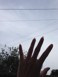 ��+.�S(���L�́M��)ɡ+.� ��