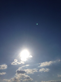 �`(*�M�́L*)�m�J♡