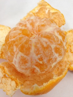 Mandarin orange
