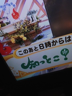4���J���́B�B�B(*�L䇁M*)💕