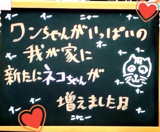 �l�R�����(�Lp�T�֥)💕