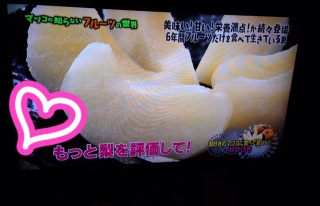 �}�c�R�̒m��Ȃ��t���[�c�̐��E