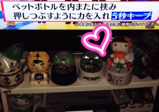 �y�b�g�{�g���̑�(���L�́M��)/��