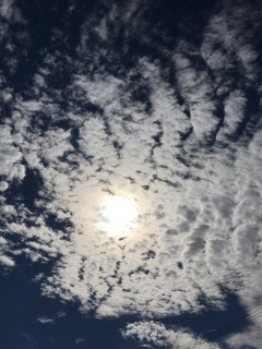 *:�E(*�L�́M)*:�E♡