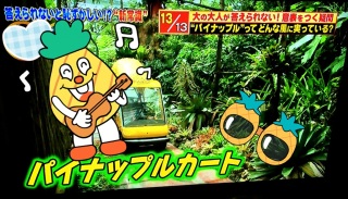 �p�C�i�b�v�[