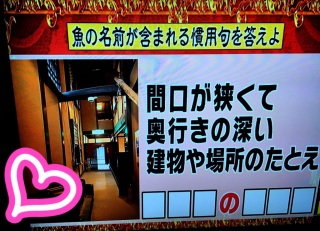 ���Ȃ��̂˂ǂ�( �L .♡ ` )