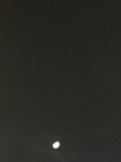 �փW���j���̌��C���o��LIVE!!�����B�B�B