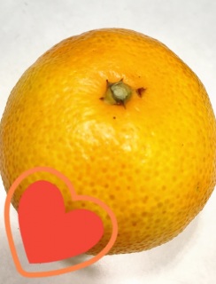 mandarin orange♡