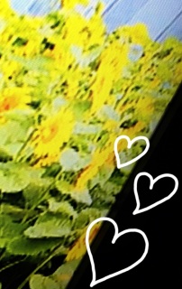 �փW���j���̌��C���o��CD!!��������A