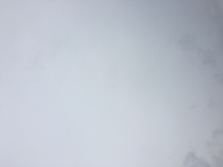 �S((*�L�`�M*)♡