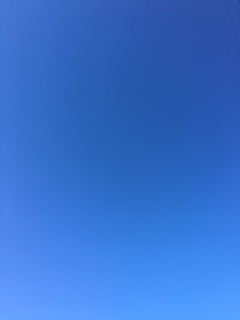 ♥(*�M�́L*)�m