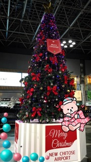 �V��΋�`��