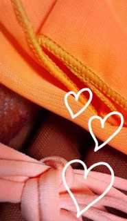 �I�����W❤(*�L�́M*)