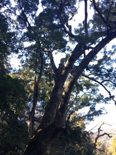 (*�M�́L*)�m♡