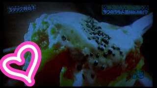 �Ђ��������ă}�X(�� �L �� ` )��