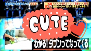 �^�v������♡(o�L�ցMo�j