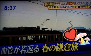 �T�^�v���t�̊��q�`�]�̓����B.:��*:�E'❤�i�w�L�́M�w�j�E�K�D:�K�E