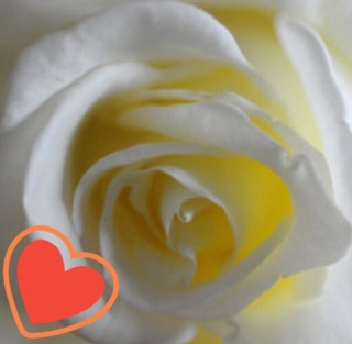 �����K�N