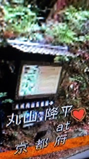 �����ɂ����Ȃ��i�F( �L .♡ ` )💕