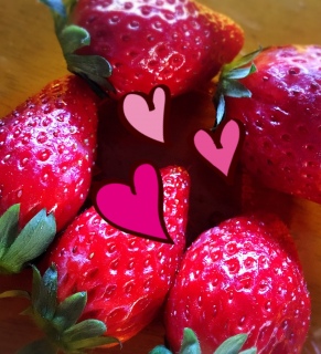 ���t���[�c