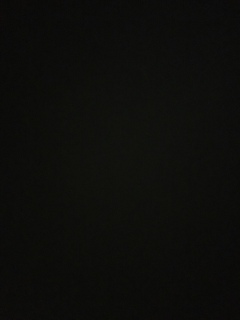 �����̌�