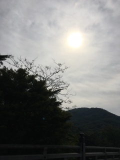 (*�M�́L*)�m♡