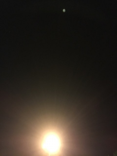 ���Ɋ肢�����c