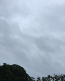 �B�E�́E)�c��