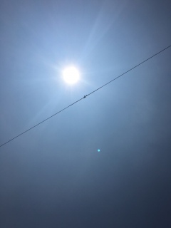 (���E�́E)�m�J~~