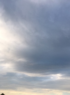 ���j��( ���L �� ` )�💕