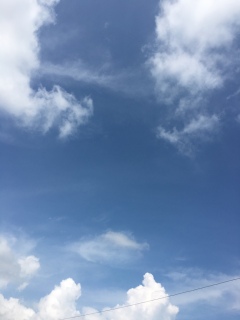 (*�M�ցL*)