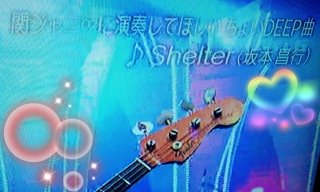 ��Shelter