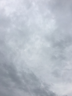 ��오��