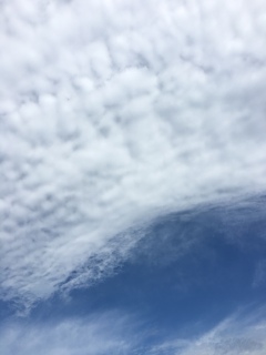 �_�Q(�L�́M��)