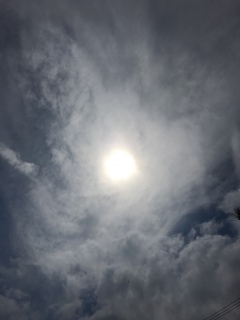 ♥(*�M�́L*)�m