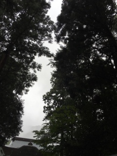 ���_�Q(�L�́M��)