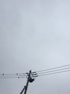 ( �L .◡�M��j💕