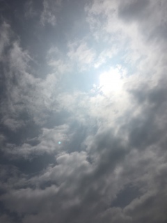 (�@�L�́M�j�`�`