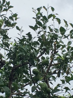 ♡(*�L�`�M*)�o��