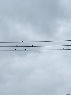 ♡(*�L�[�M*)b