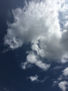 ♥(*�M�́L*)��