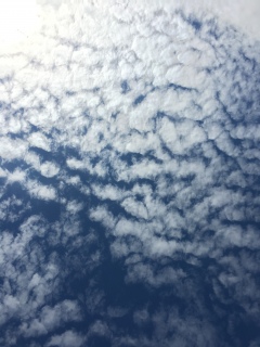 (*�M�́L*)�m♡