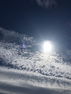 ♡(*�L�`�M*)▫◽◻