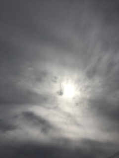 ♡(*�L�[�M*)��