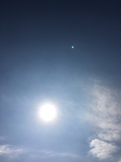 ♥(*�M�́L*)��