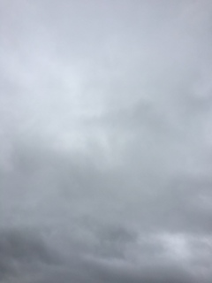 ( �L .◡�M��j💕