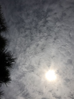 �_�Q(�L�́M��)