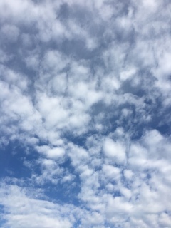 ♡(*�L�`�M*)�o��