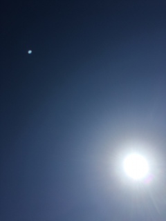 ♥(*�M�́L*)��